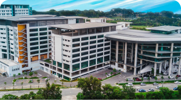 This image for Image Layouts addon