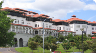 This image for Image Layouts addon